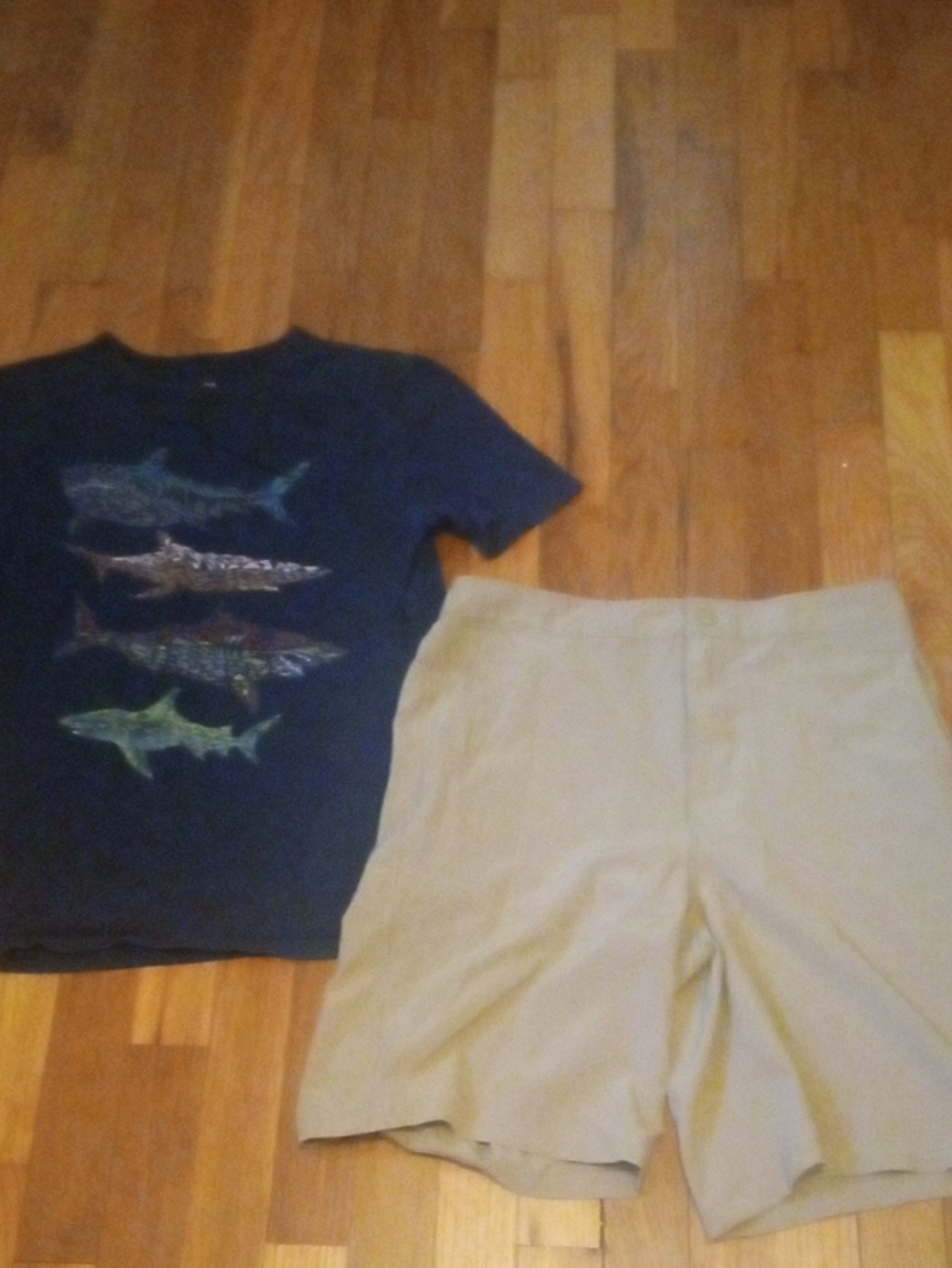 Navy Graphic Shark T-Shirt and Khaki drifit Shorts boys XL